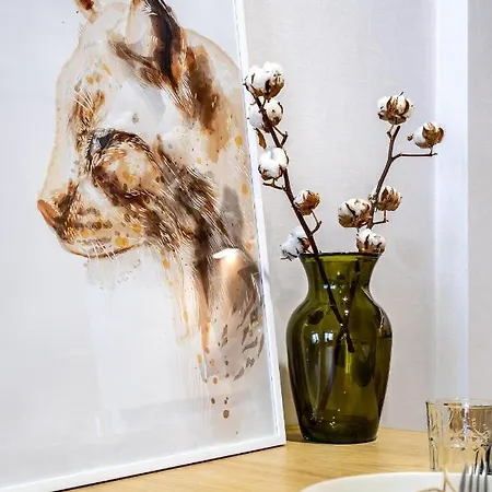 Lucid C207 * Vysoké Tatry